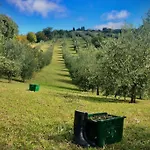 La Casina Della Quercia, Your Tuscan Oak Tree House Villa