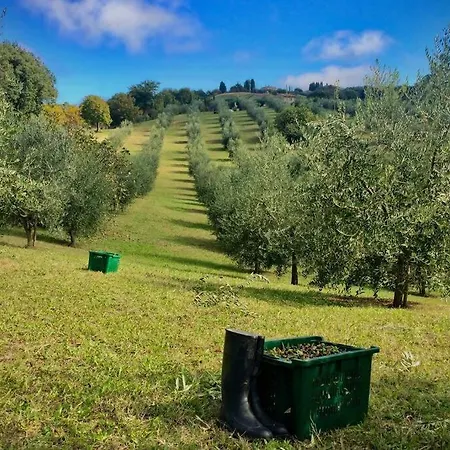 La Casina Della Quercia, Your Tuscan Oak Tree House Вилла