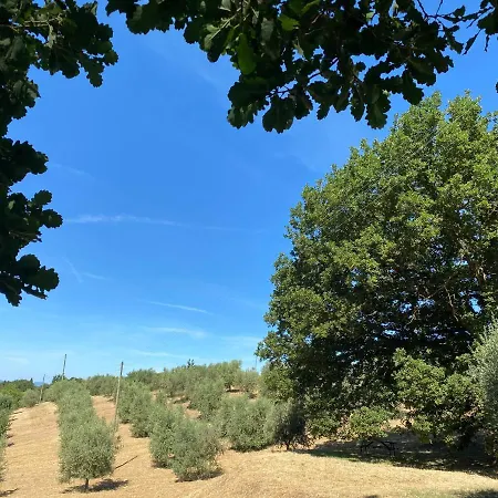 La Casina Della Quercia, Your Tuscan Oak Tree House *