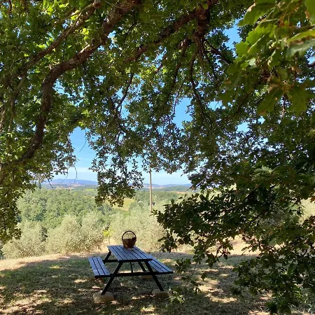 Villa La Casina Della Quercia, Your Tuscan Oak Tree House *